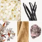 Preview: Duftnoten: Sandelholz, Ambrox (Ambra), Vanille, Jasmin, Jasmin Arabisch Preview: Duftnoten: Sandelholz, Ambrox (Ambra), Vanille, Jasmin, Jasmin Arabisch